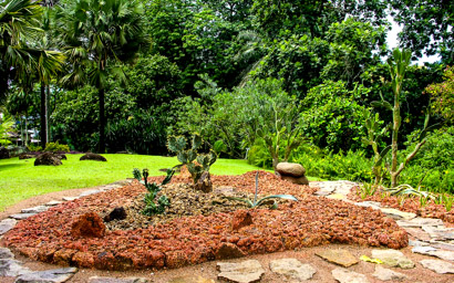 Mont Fleuri Botanical Gardens,  Victoria-Mahe-Seychelles